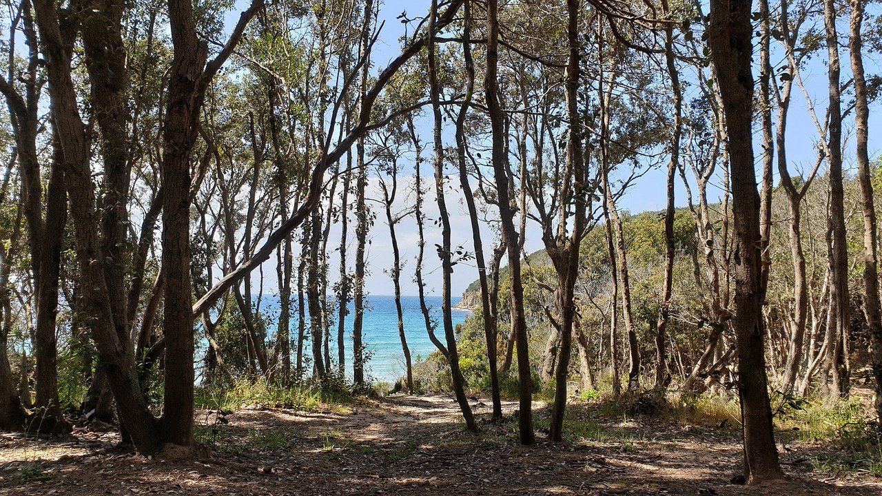 Golfo di Baratti